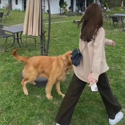 替天行盗
